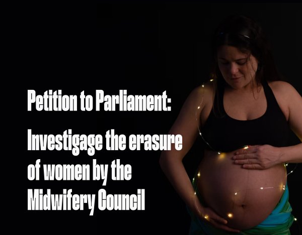 NZ Midwifery Council
