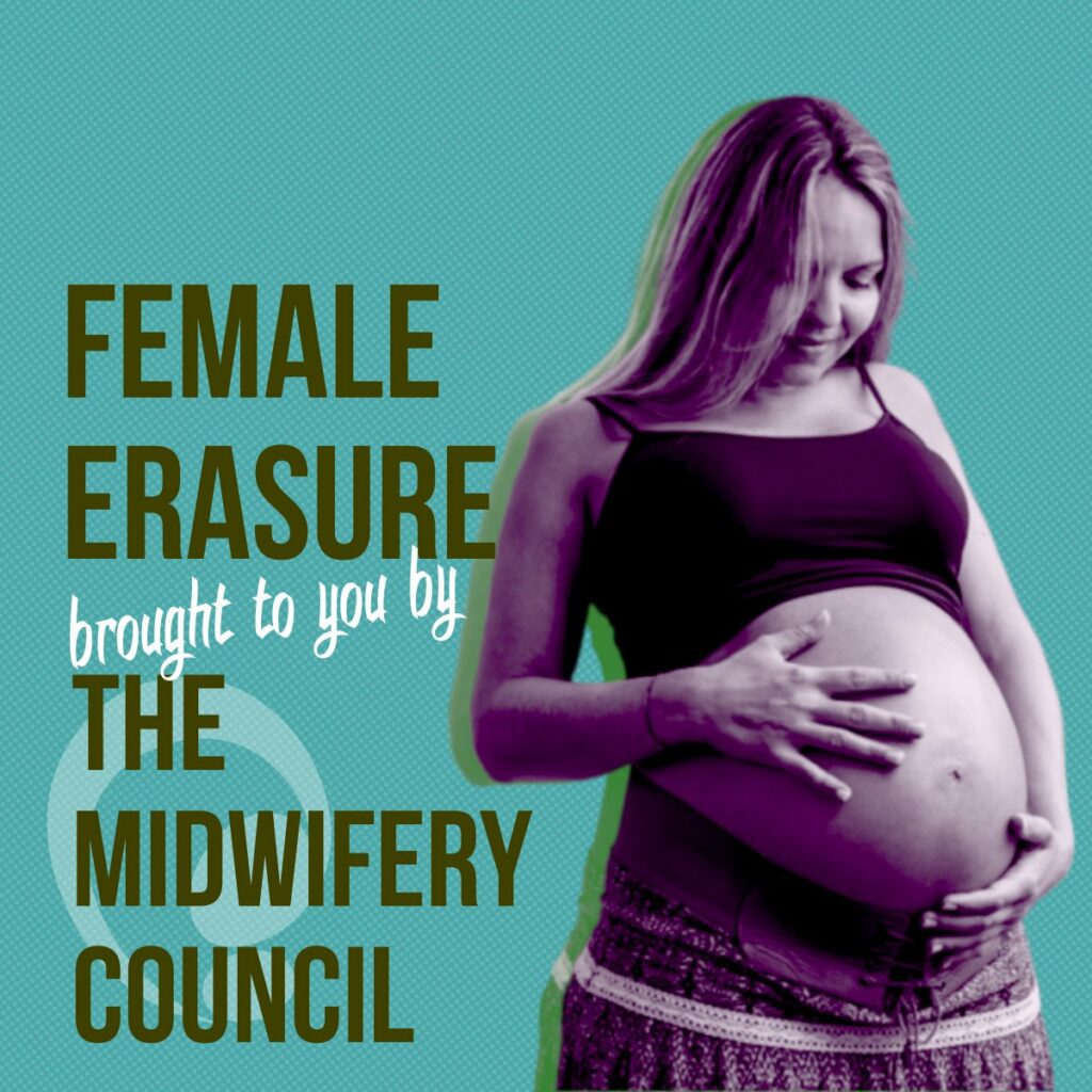 NZ Midwifery Council Revisedl Scope Of Practice 2024